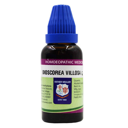 https://cdn.shopify.com/s/files/1/1857/6931/files/ES4YmZ9BS1.jpg?v=1717234927