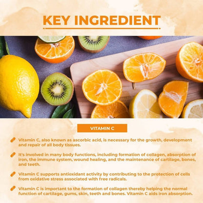 https://cdn.shopify.com/s/files/1/1857/6931/files/ESfRTfyAoG-291990.jpg?v=1736143868
