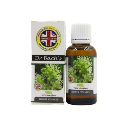 https://cdn.shopify.com/s/files/1/1857/6931/products/ET3VVhZCLN.jpg?v=1762366283
