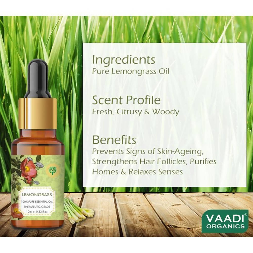 https://cdn.shopify.com/s/files/1/1857/6931/products/EUEVZF6M3W.jpg?v=1618540026