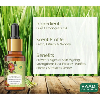 https://cdn.shopify.com/s/files/1/1857/6931/products/EUEVZF6M3W.jpg?v=1618540026