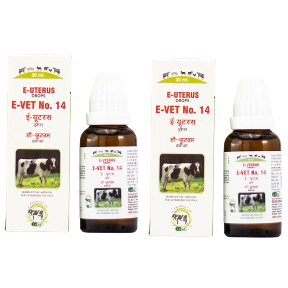 https://cdn.shopify.com/s/files/1/1857/6931/files/EUTDR14_4ac41f41-73c8-4cc8-b580-332ce643265d.jpg?v=1756822840