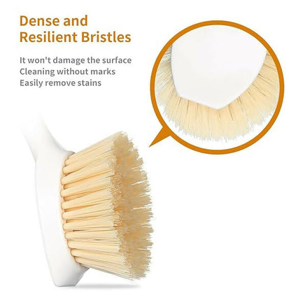 https://cdn.shopify.com/s/files/1/1857/6931/files/EUYqGVSXzi.jpg?v=1783503830