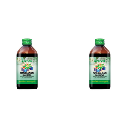 https://cdn.shopify.com/s/files/1/1857/6931/files/EVERE-GENIE-153554-01_1cd821cf-cd4a-4547-a381-f1119a9d6f4c.png?v=1756817946