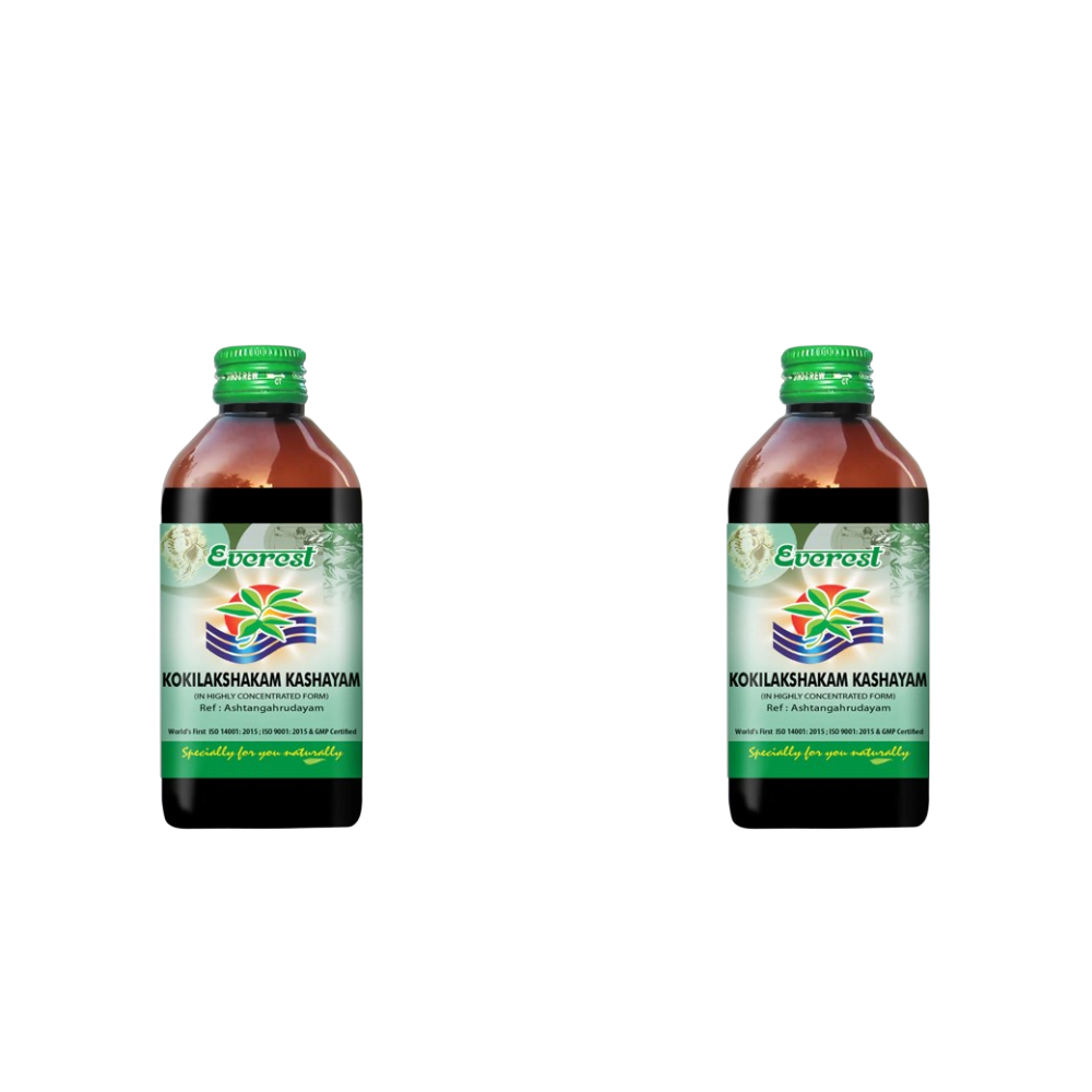 https://cdn.shopify.com/s/files/1/1857/6931/files/EVERE-GENIE-155521-01_75172bdf-61dd-4429-9823-660c46a48e49.png?v=1756817774