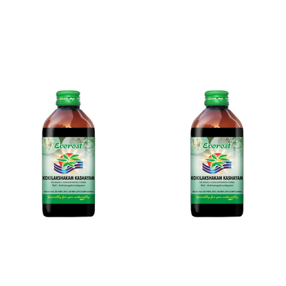 https://cdn.shopify.com/s/files/1/1857/6931/files/EVERE-GENIE-155521-01_75172bdf-61dd-4429-9823-660c46a48e49.png?v=1756817774