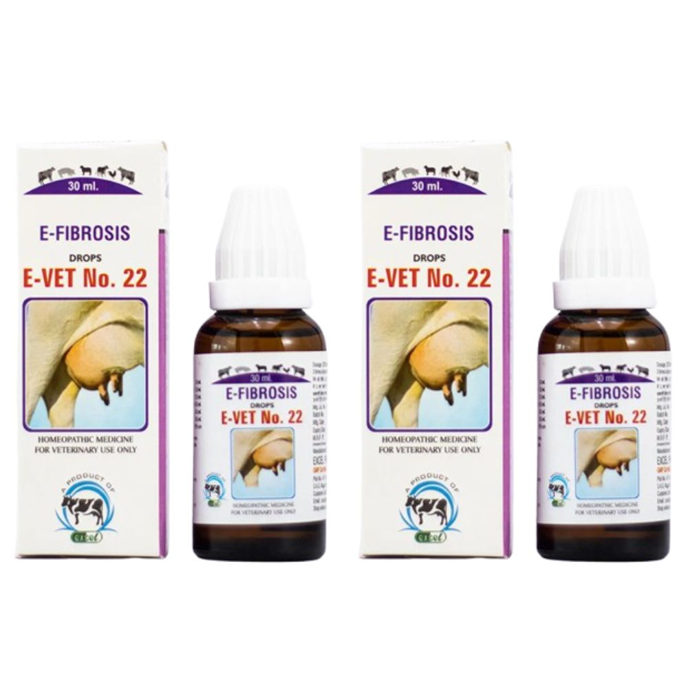 https://cdn.shopify.com/s/files/1/1857/6931/files/EVET-22_0c7b08c7-a3e2-4cca-bad2-70624353dd3a.jpg?v=1756822810
