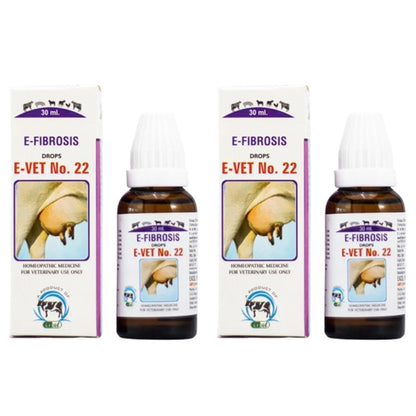 https://cdn.shopify.com/s/files/1/1857/6931/files/EVET-22_0c7b08c7-a3e2-4cca-bad2-70624353dd3a.jpg?v=1756822810