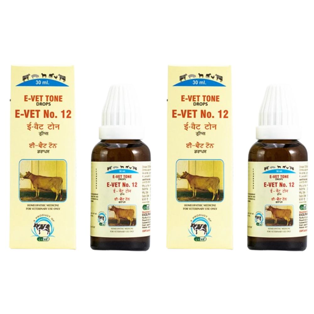 https://cdn.shopify.com/s/files/1/1857/6931/files/EVETD12_e8c81439-85b5-4aaa-81b6-d38b71689df6.jpg?v=1756822846