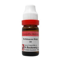 https://cdn.shopify.com/s/files/1/1857/6931/products/EcJHDQrYgq.jpg?v=1661146858