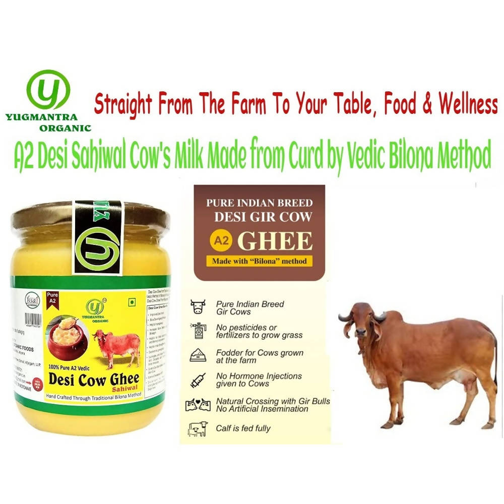 https://cdn.shopify.com/s/files/1/1857/6931/products/EcT983baMv.jpg?v=1624957586