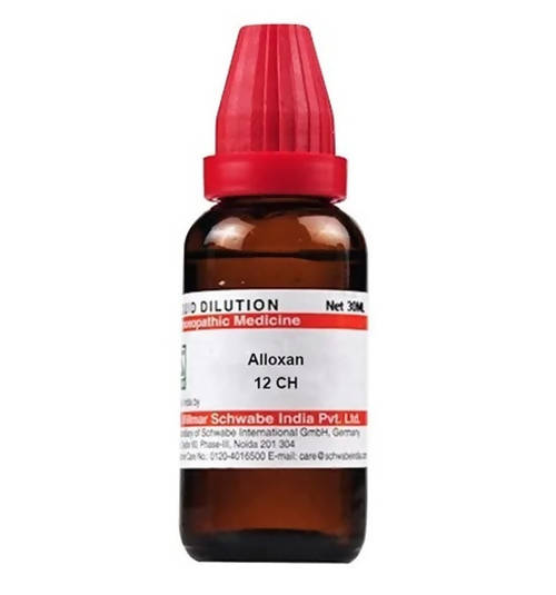 https://cdn.shopify.com/s/files/1/1857/6931/products/EfdWo9bxN8.jpg?v=1641541915