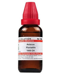 https://cdn.shopify.com/s/files/1/1857/6931/products/EffXdnK5uZ.jpg?v=1640930109