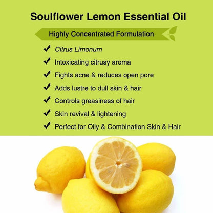 https://cdn.shopify.com/s/files/1/1857/6931/products/Egn93WBbOP.jpg?v=1614911233