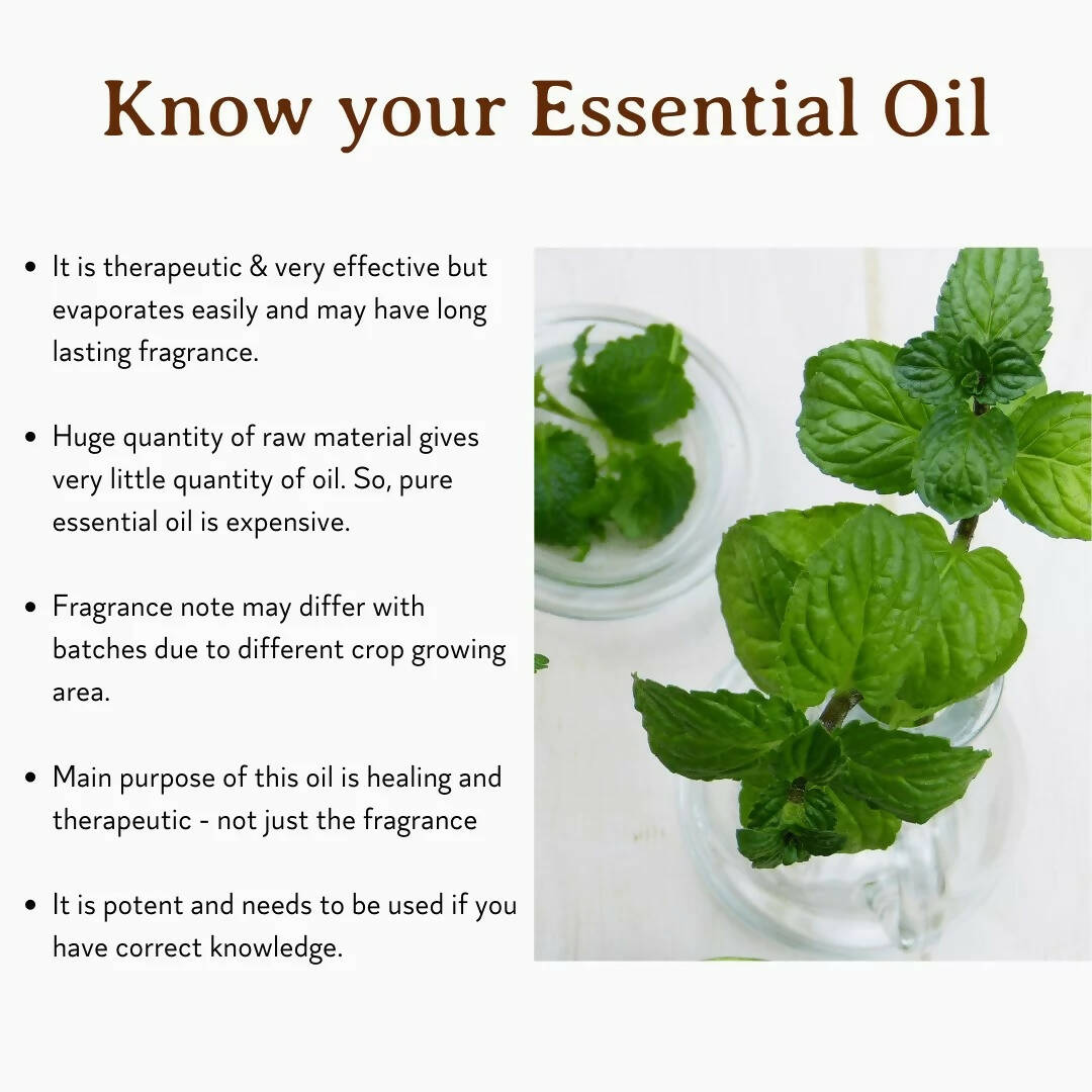 https://cdn.shopify.com/s/files/1/1857/6931/products/EieQ0ERTlm.jpg?v=1670583285