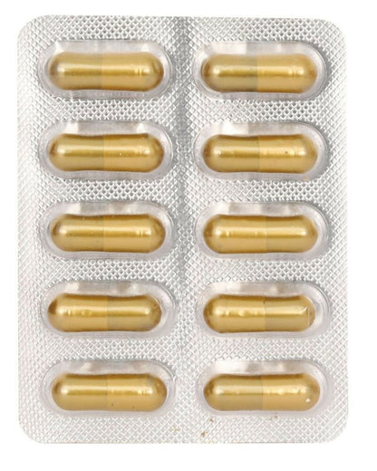 https://cdn.shopify.com/s/files/1/1857/6931/files/EjlfywsiPr-213935.jpg?v=1736147050
