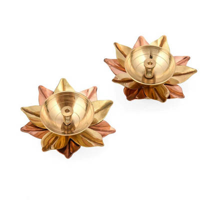 https://cdn.shopify.com/s/files/1/1857/6931/files/Em3MdDvABL.png?v=1784711065