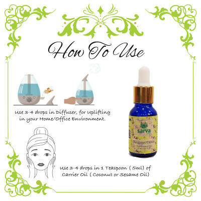 https://cdn.shopify.com/s/files/1/1857/6931/products/EmfylbrMZH.jpg?v=1670671172