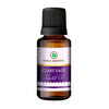 https://cdn.shopify.com/s/files/1/1857/6931/products/EpnjJATQp4.jpg?v=1762343896
