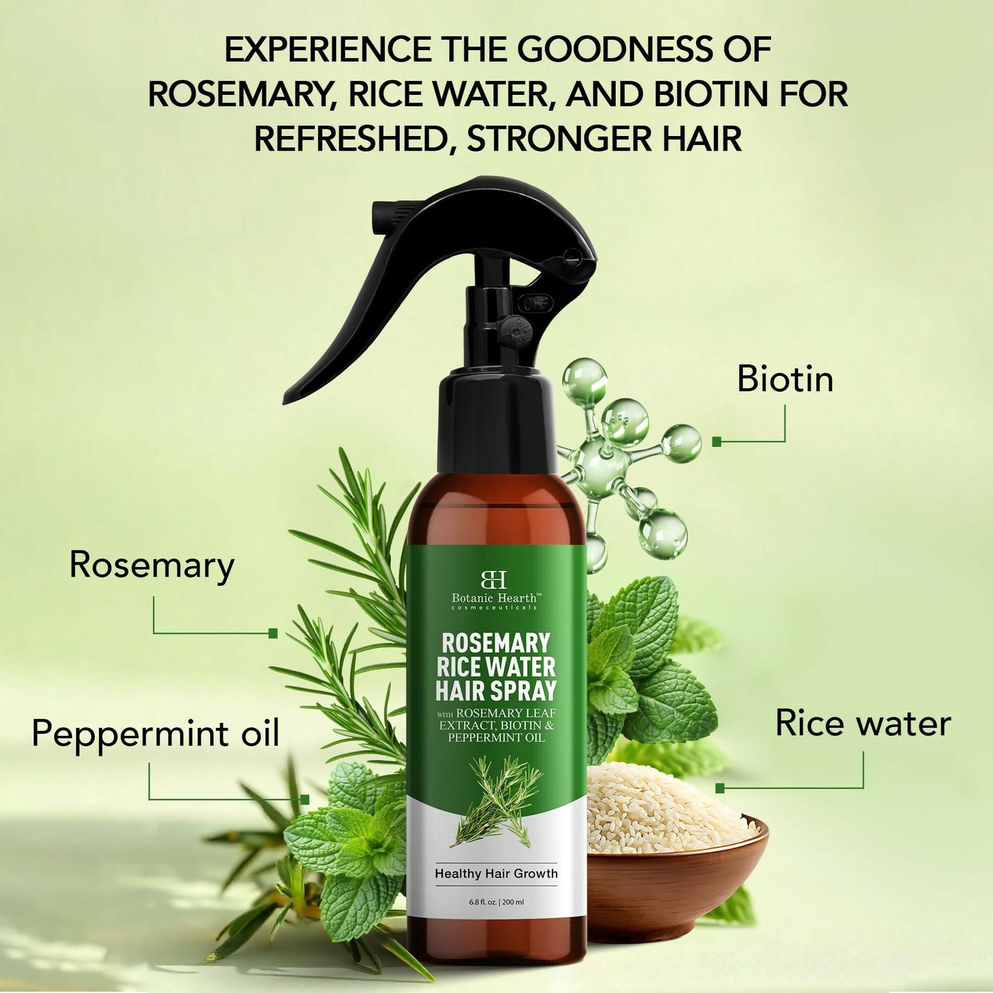 https://cdn.shopify.com/s/files/1/1857/6931/files/Eqs4XZ60V1.jpg?v=1727762664