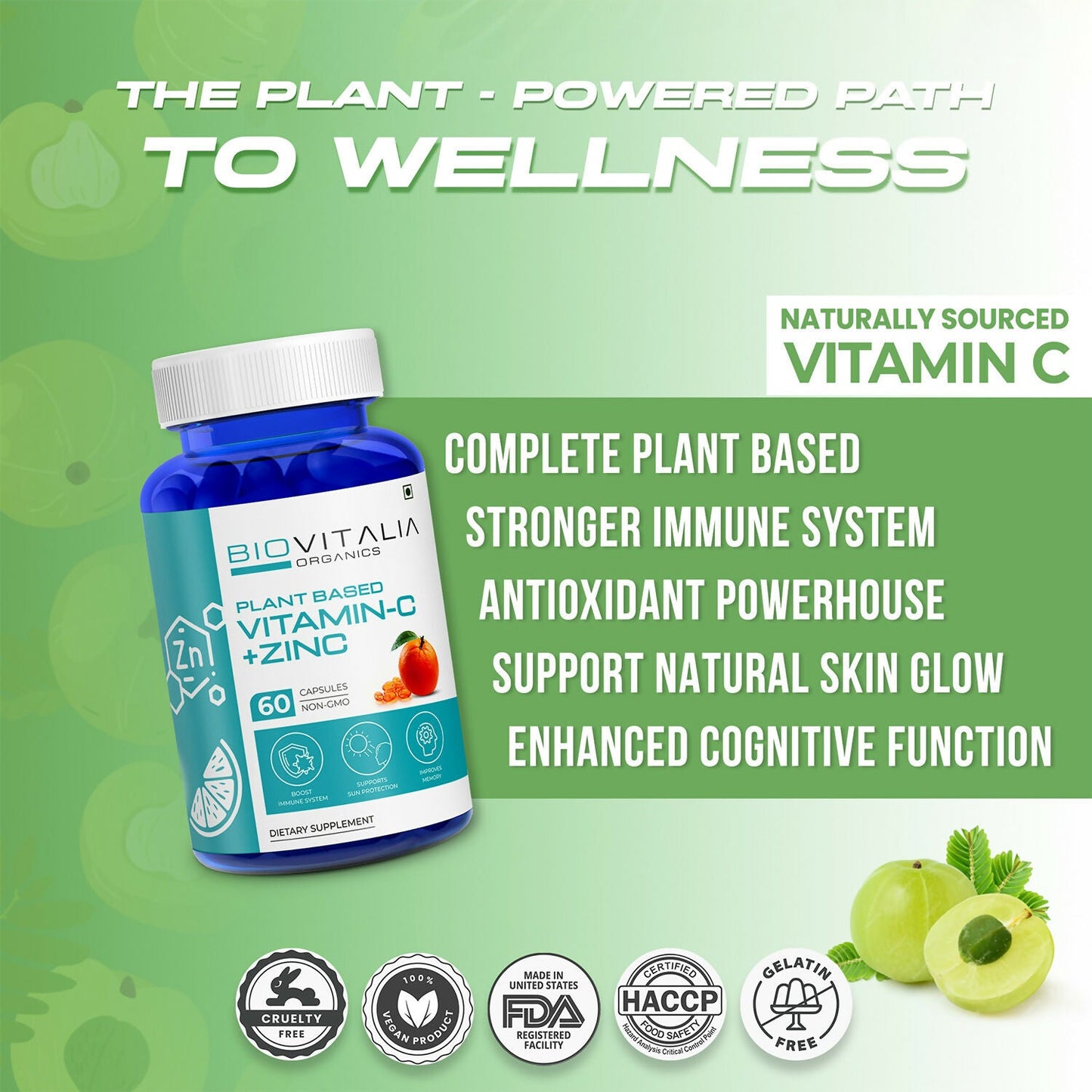 https://cdn.shopify.com/s/files/1/1857/6931/files/ErdHldHoX9.jpg?v=1727680145