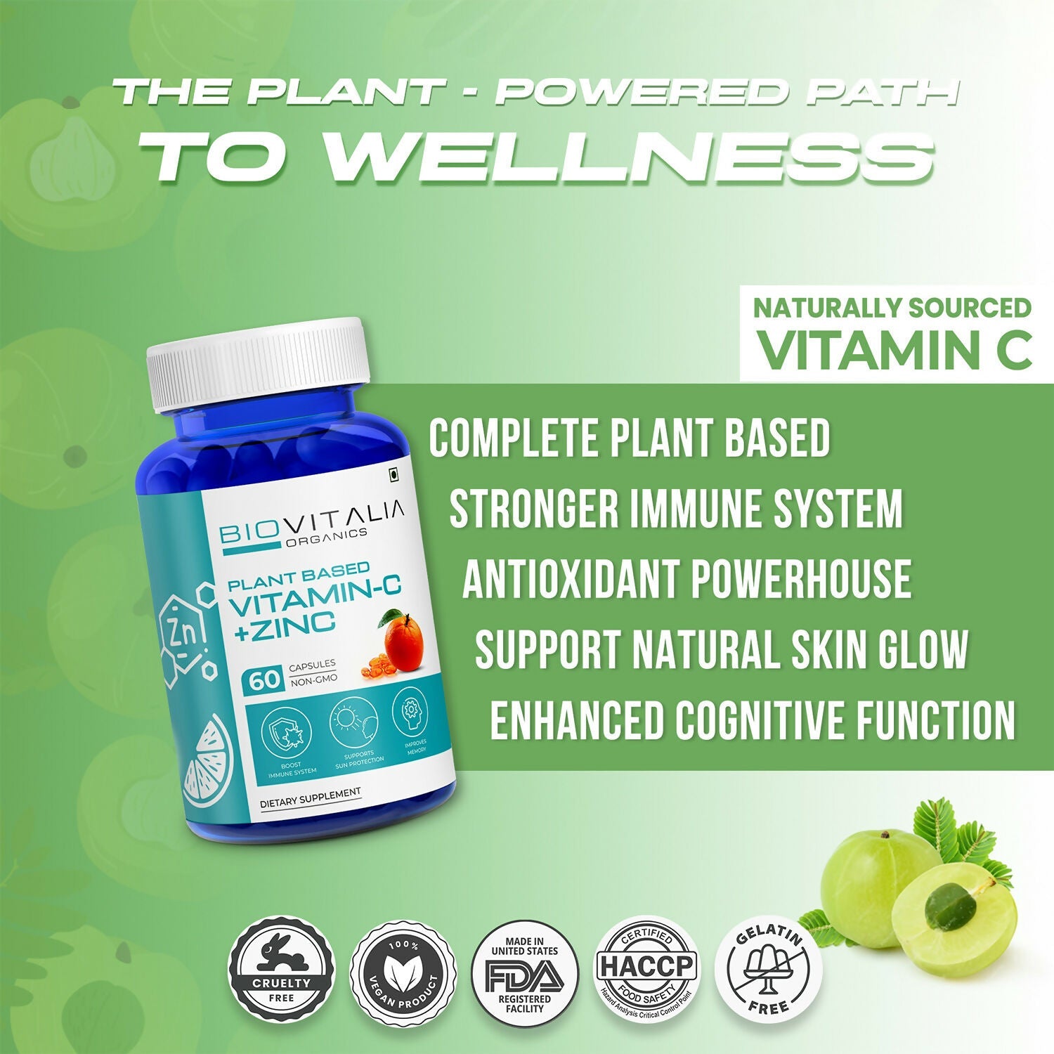 https://cdn.shopify.com/s/files/1/1857/6931/files/ErdHldHoX9.jpg?v=1727680145