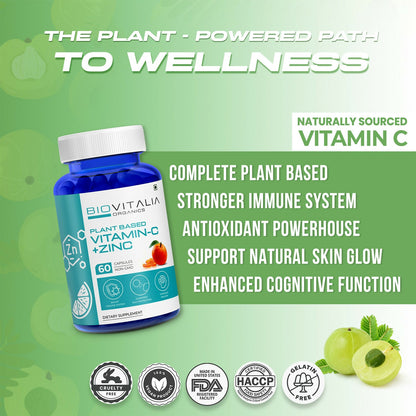 https://cdn.shopify.com/s/files/1/1857/6931/files/ErdHldHoX9.jpg?v=1727680145