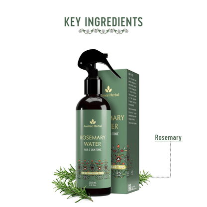 https://cdn.shopify.com/s/files/1/1857/6931/files/EtKGKFC53e-846115.png?v=1736150416