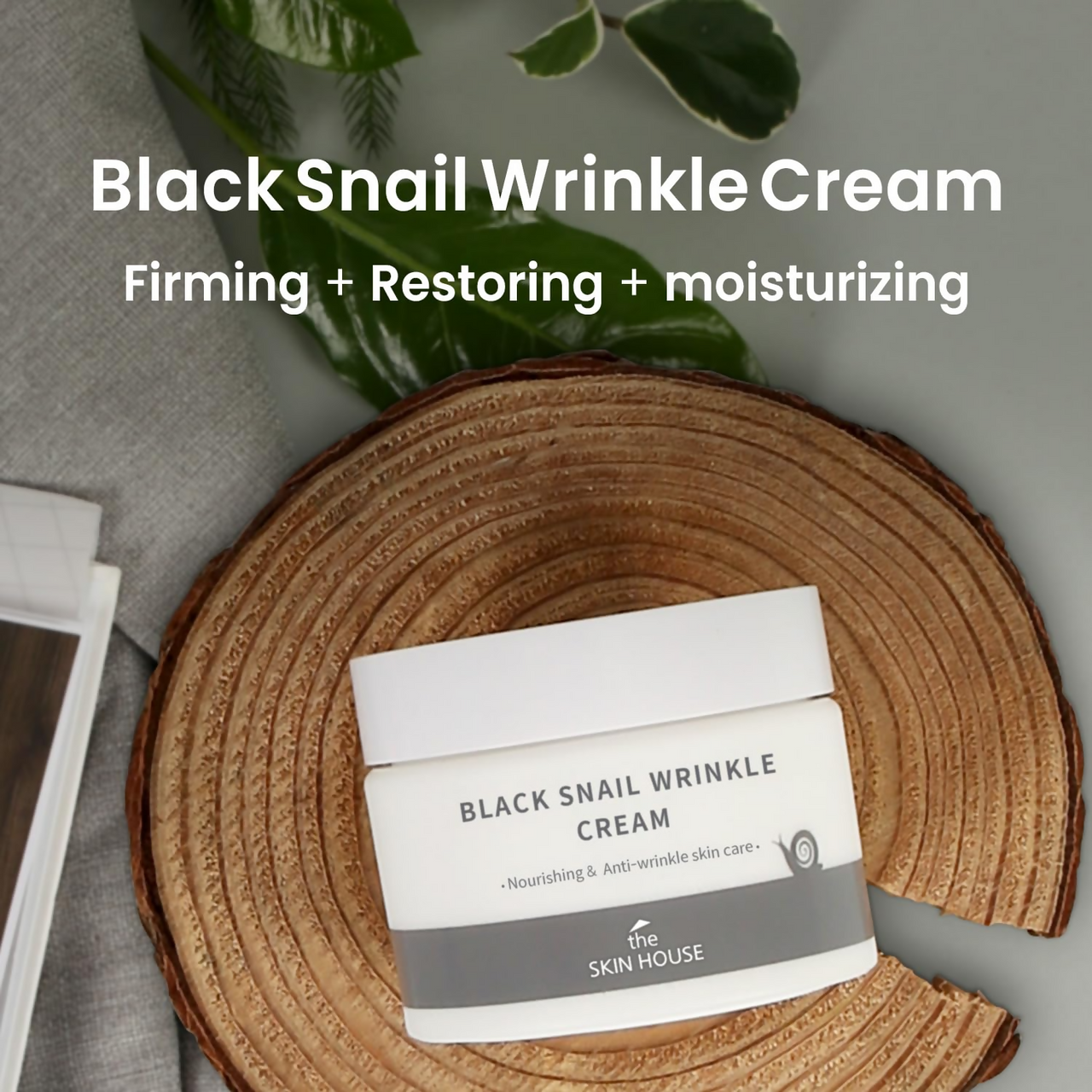 https://cdn.shopify.com/s/files/1/1857/6931/files/EuUYq0fPI3.png?v=1732021004