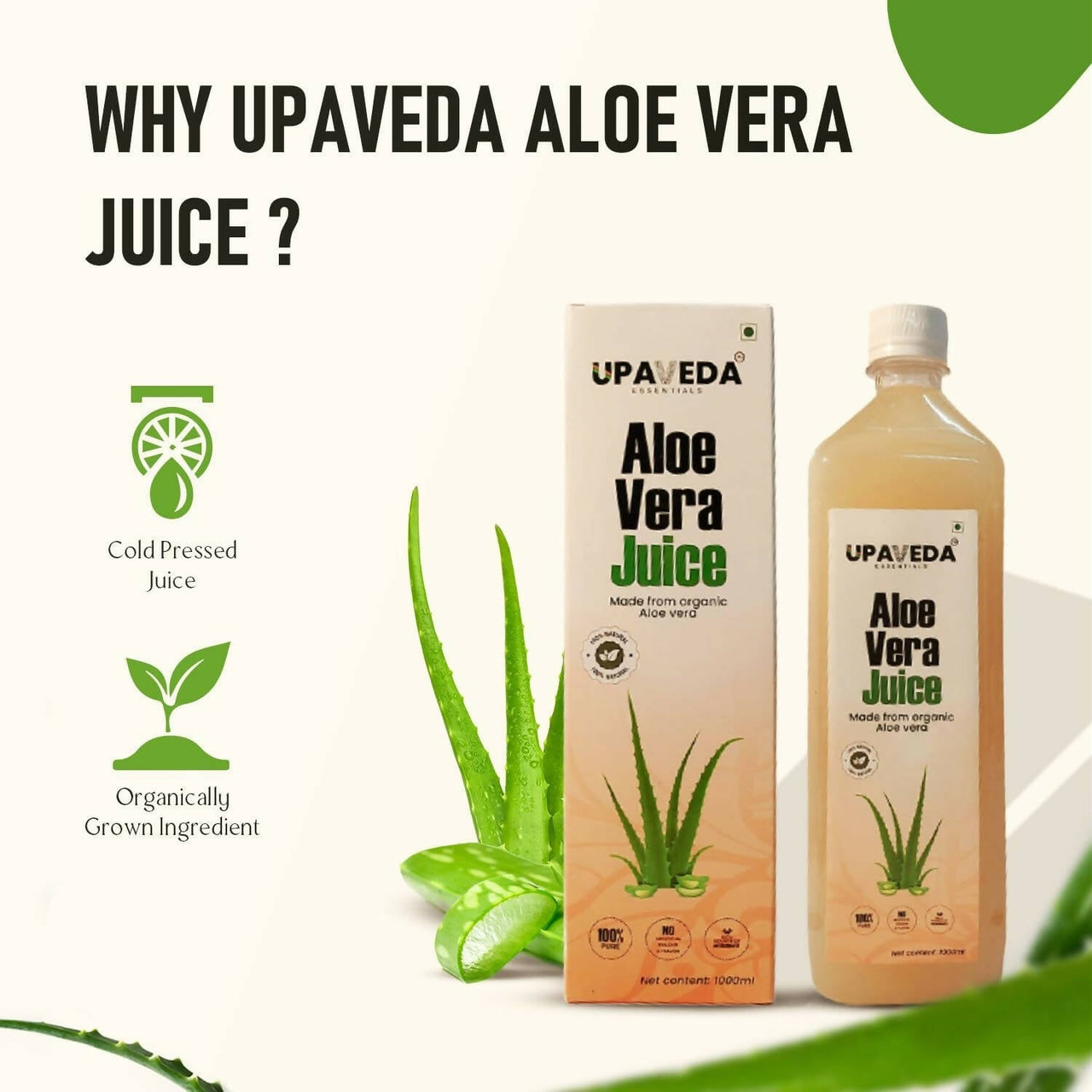 https://cdn.shopify.com/s/files/1/1857/6931/products/Ews7QSrW8m.jpg?v=1706013238