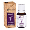 https://cdn.shopify.com/s/files/1/1857/6931/products/ExlaSu70Fk.jpg?v=1623415651
