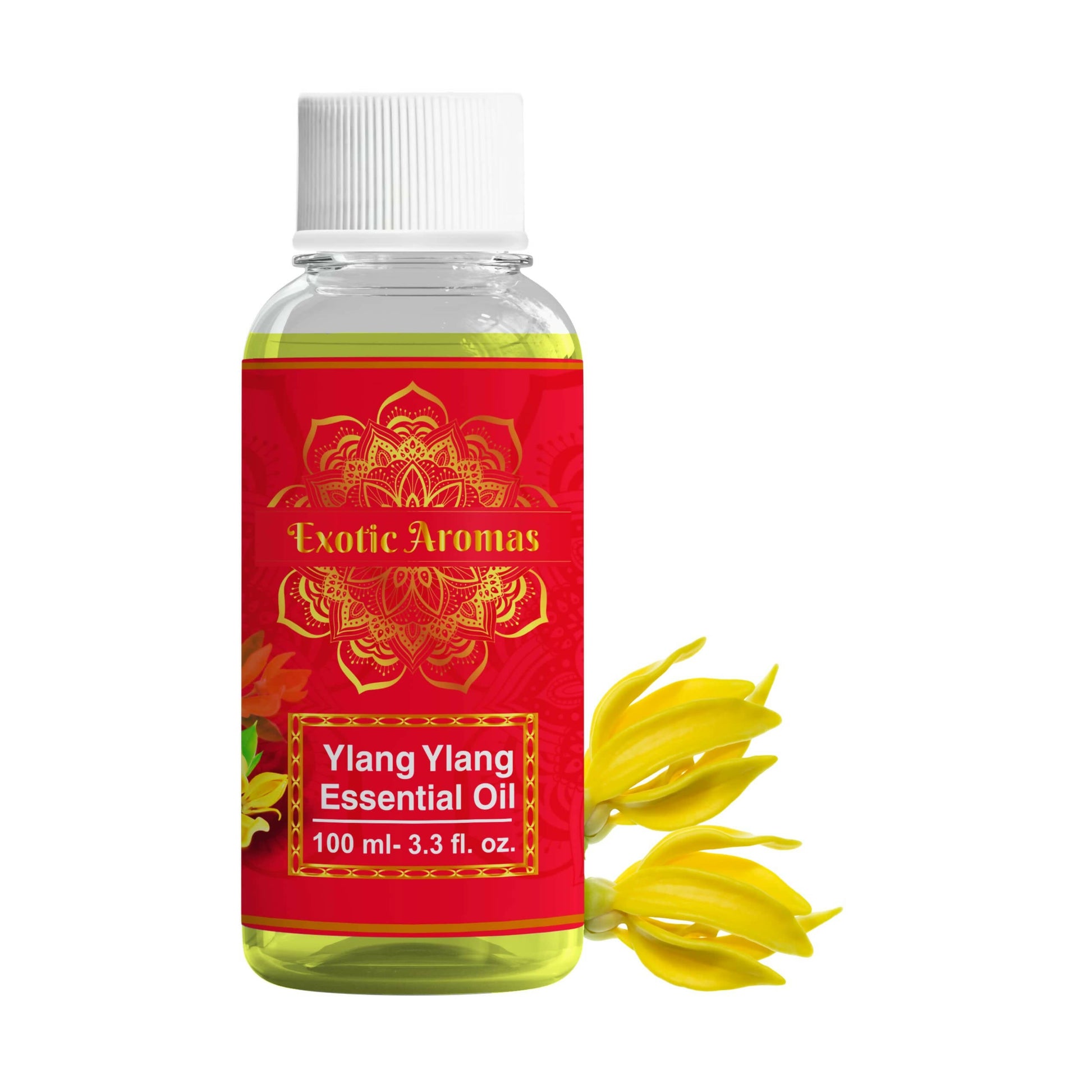 https://cdn.shopify.com/s/files/1/1857/6931/products/F13XWJs83X.jpg?v=1759384294