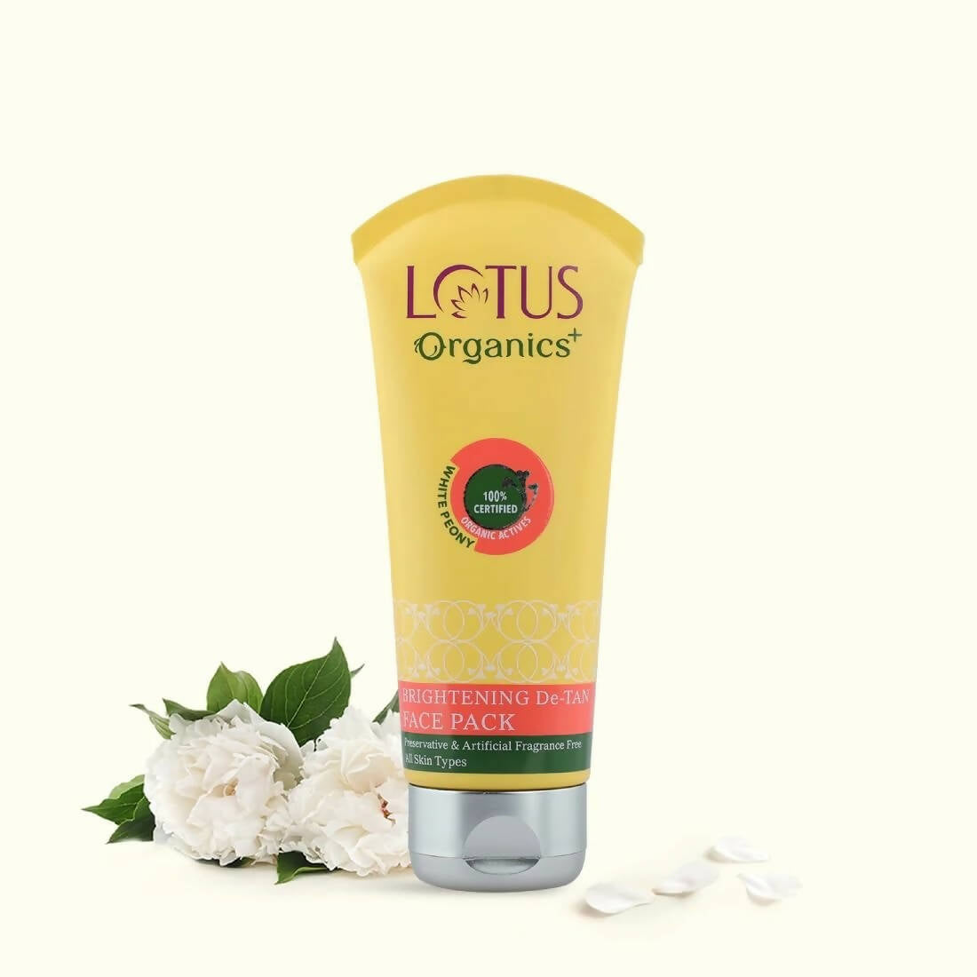 https://cdn.shopify.com/s/files/1/1857/6931/products/F2fdDBCrMR.jpg?v=1697112395