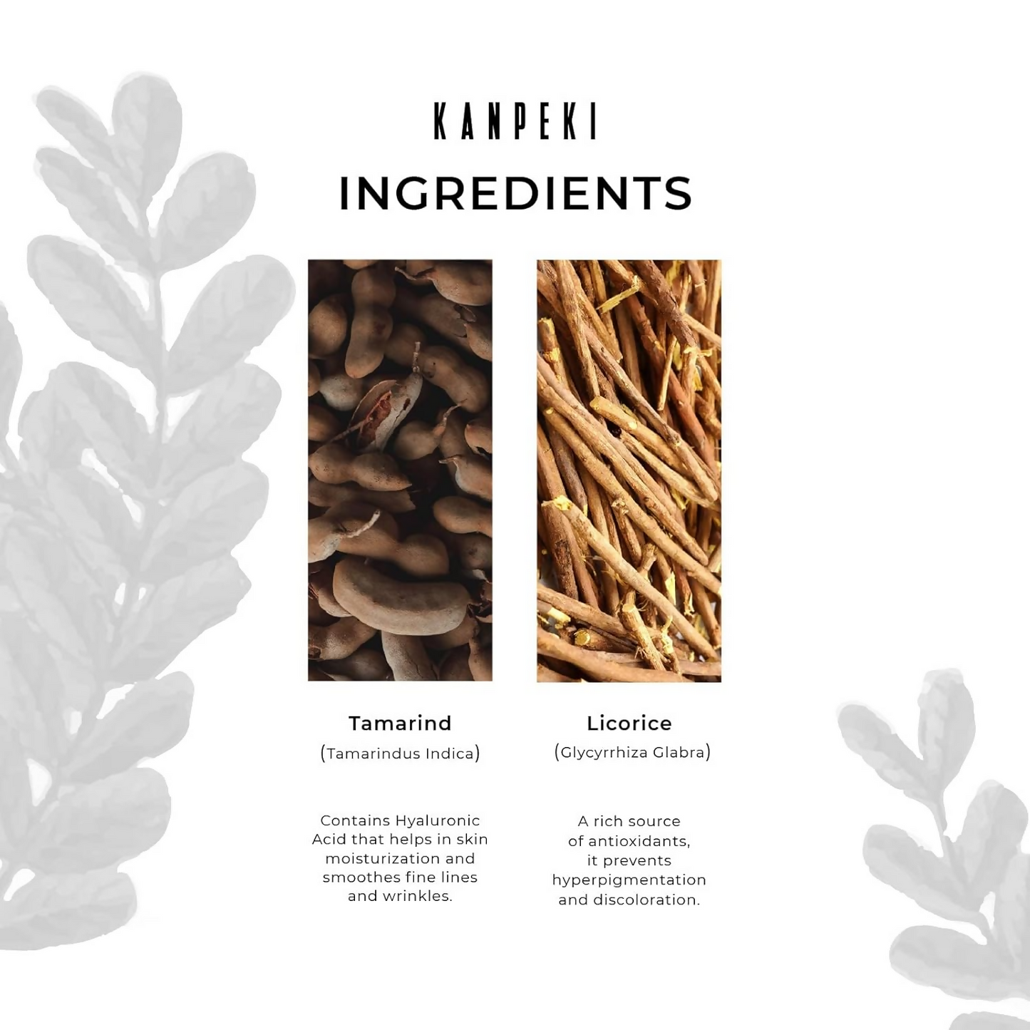 https://cdn.shopify.com/s/files/1/1857/6931/files/F54lJgrRTQ.png?v=1728293507