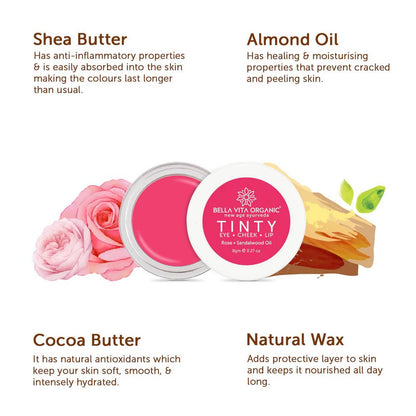 https://cdn.shopify.com/s/files/1/1857/6931/products/F5IdhJwacY.jpg?v=1647845571