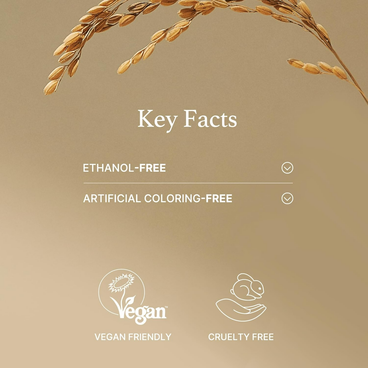 https://cdn.shopify.com/s/files/1/1857/6931/files/F6SGkChcR3.png?v=1731065183