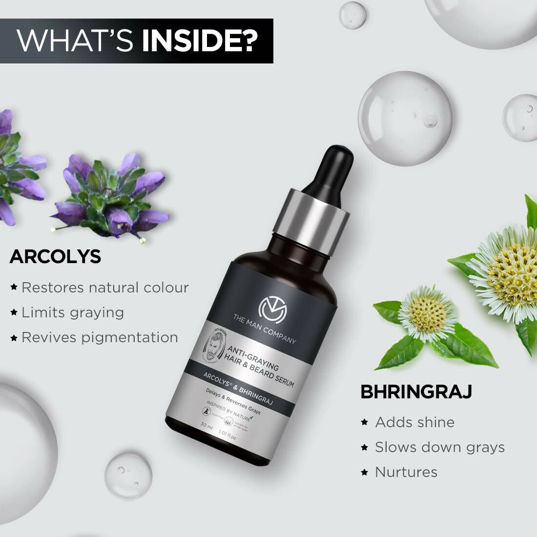 https://cdn.shopify.com/s/files/1/1857/6931/products/F6UTLrw3An.jpg?v=1674891901