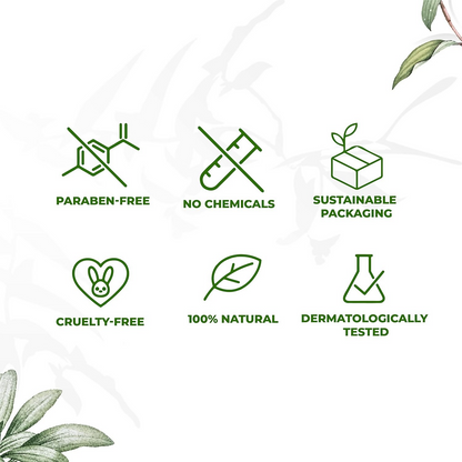 https://cdn.shopify.com/s/files/1/1857/6931/files/F7vYcRsXla.png?v=1729165878