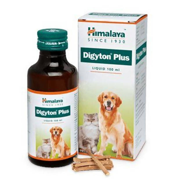 https://cdn.shopify.com/s/files/1/1857/6931/products/FBEMG8LIVl.jpg?v=1627007690