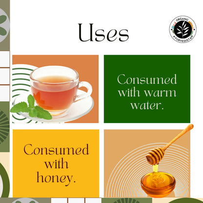 https://cdn.shopify.com/s/files/1/1857/6931/products/FBngw5nh22.jpg?v=1683532190