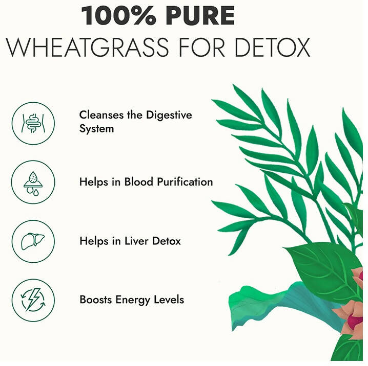 https://cdn.shopify.com/s/files/1/1857/6931/products/FBoqT2e0v8.jpg?v=1695295135