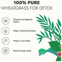 https://cdn.shopify.com/s/files/1/1857/6931/products/FBoqT2e0v8.jpg?v=1695295135