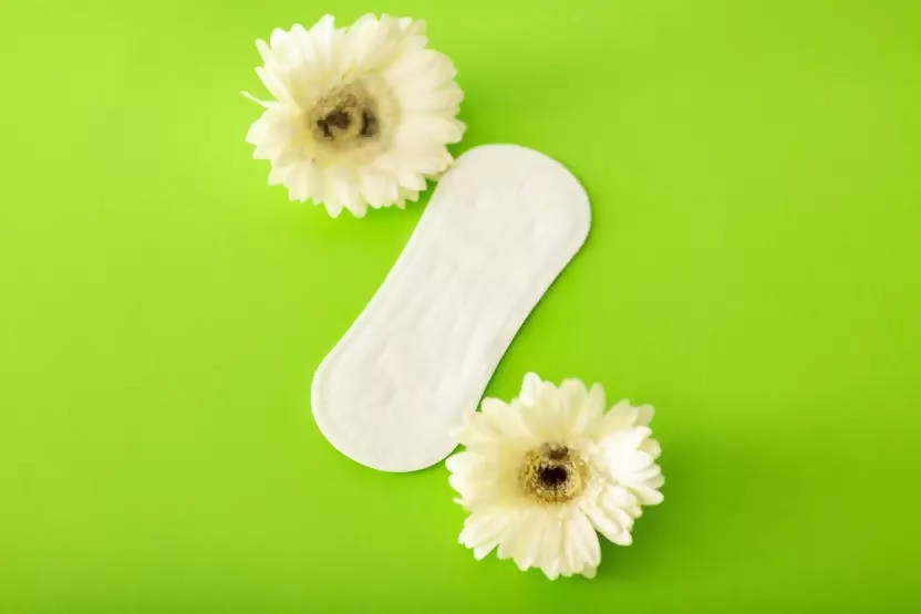 https://cdn.shopify.com/s/files/1/1857/6931/products/FCOy5gXDI1.jpg?v=1634031876