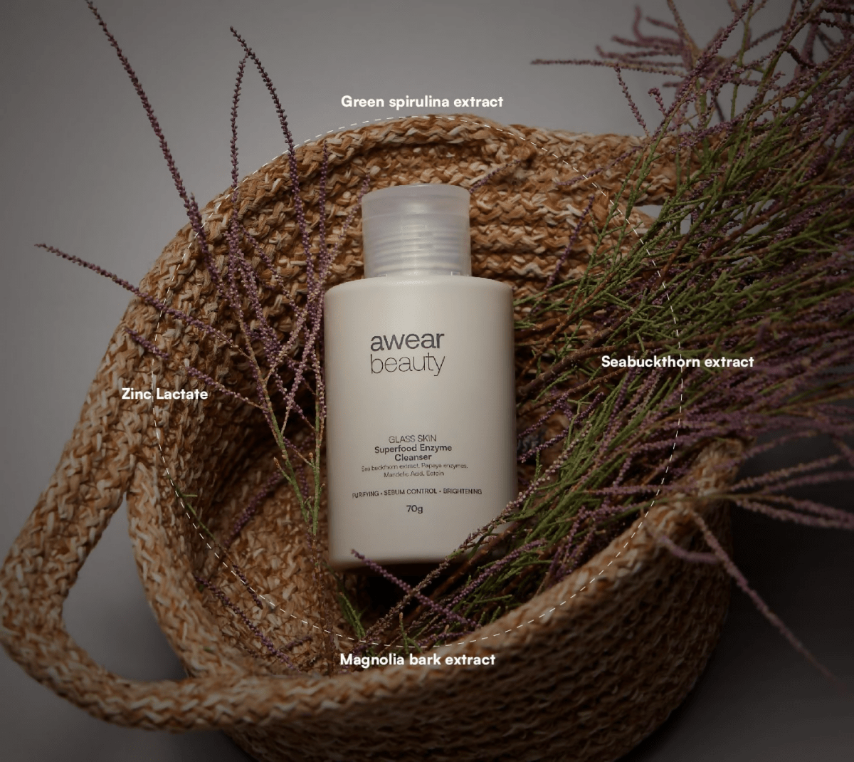 https://cdn.shopify.com/s/files/1/1857/6931/files/FCzMF8n0eS-123149.png?v=1736150766