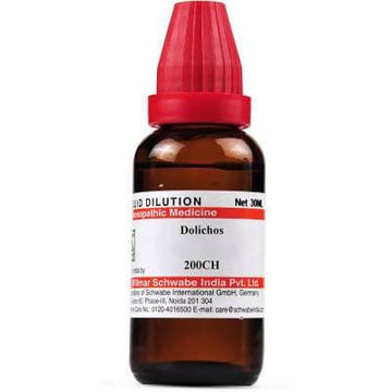 https://cdn.shopify.com/s/files/1/1857/6931/products/FDInQbbcFW.jpg?v=1613912265