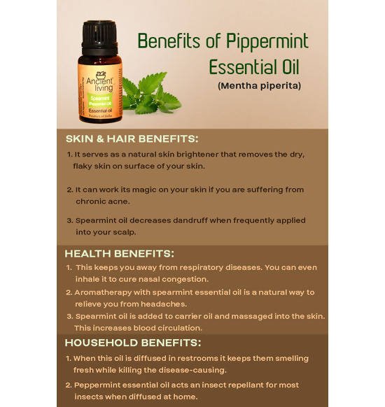 https://cdn.shopify.com/s/files/1/1857/6931/files/FGa44Iw5E3-988632.jpg?v=1736147459