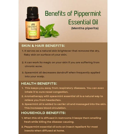 https://cdn.shopify.com/s/files/1/1857/6931/files/FGa44Iw5E3-988632.jpg?v=1736147459