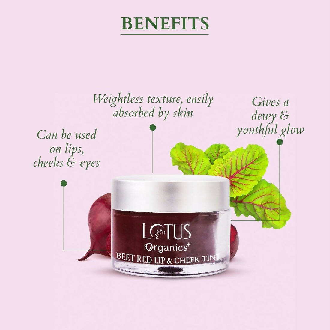 https://cdn.shopify.com/s/files/1/1857/6931/products/FGv5WkmqGb.jpg?v=1697176254