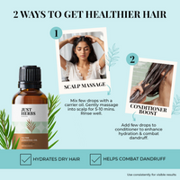 https://cdn.shopify.com/s/files/1/1857/6931/files/FHxxrG8aqo.png?v=1739423998