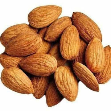https://cdn.shopify.com/s/files/1/1857/6931/products/FMGsKErjuj.jpg?v=1619964011